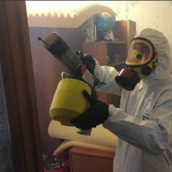 Уничтожение клопов в квартире. Тобольск